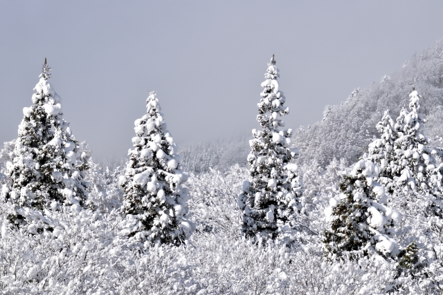 2025年12月（師走）　「眠りが浅い」を卒業！　夜の5分ケアの画像