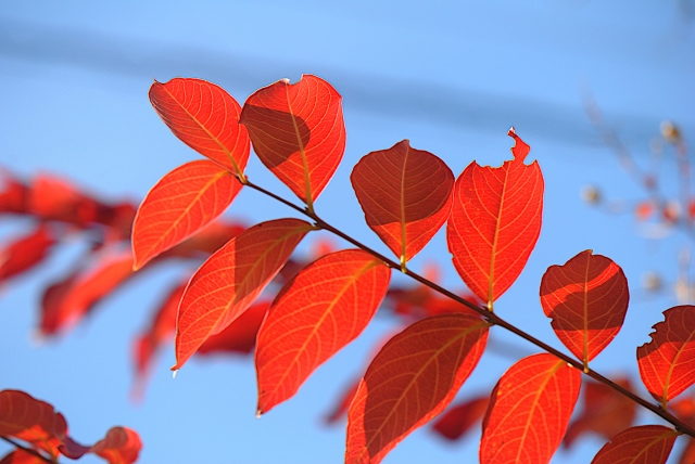 2025年11月（霜月）　「怖くない」更年期を乗りこなす心と体のケアの画像