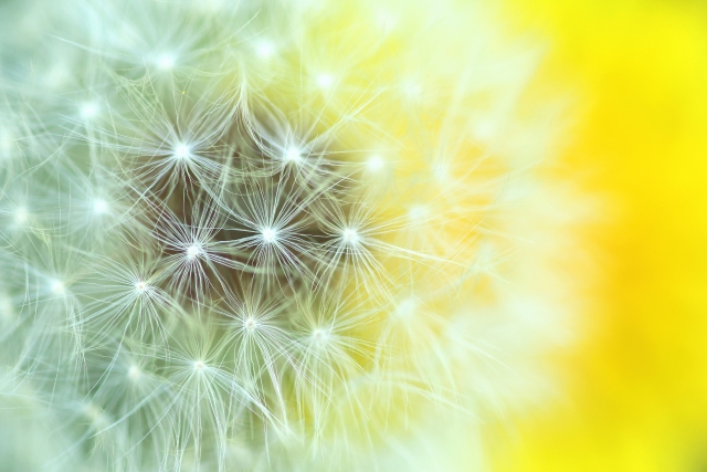 2026年４月（卯月）　春の揺らぎを優しく包む、心と体の整え方の画像